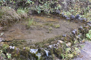 山间清澈小水潭景观