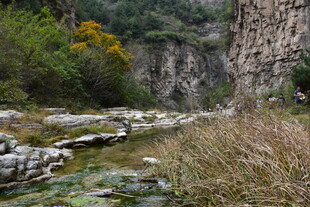 山间溪流旁的自然景致