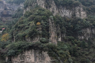 壮丽山峦植被覆盖景观