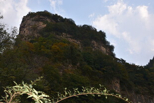 巍峨青山 绿意盎然