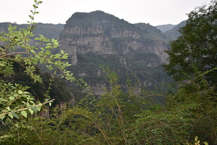 山峦叠翠间的绿意景致