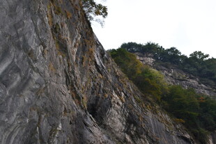 陡峭岩壁与葱郁植被