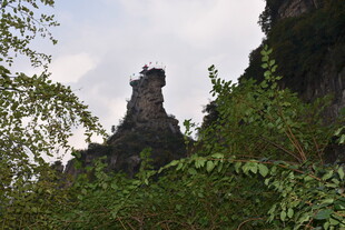 山林间的奇峰异石