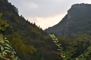 山间景致 绿意盎然的山谷