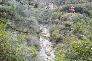 山间溪流穿林而过