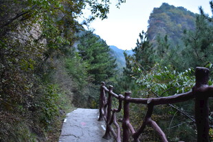 山间木栏小径 自然景致