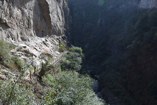 险峻峡谷 植被点缀峭壁