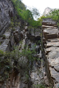 陡峭山崖上的绿色植被