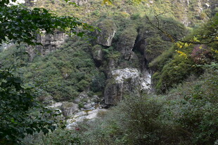 山间瀑布掩映于葱郁林木