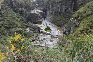 山间溪流伴繁花景色