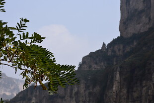 山间绿意与峭壁景观