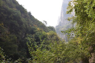 山间绿意盎然的自然景致