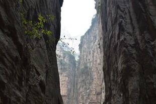 峡谷峭壁间的绿意