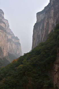壮丽峡谷间的葱郁山景