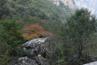 山林间的多彩景致