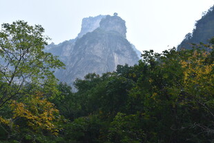 山林中的巍峨山峰