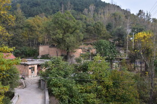 山间村落 静谧自然之景