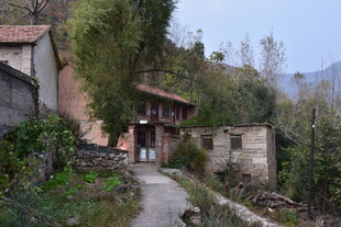 乡村小道旁的古朴民居