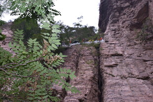 山间悬索桥与葱郁植被