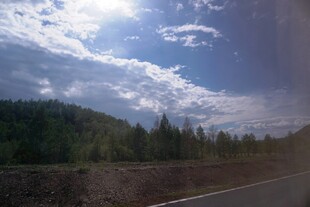 公路旁的蓝天绿树美景