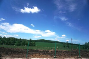 蓝天绿地间的开阔景致