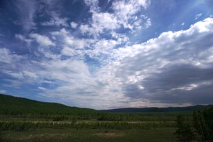 蓝天白云下的广袤原野