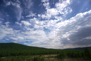 蓝天白云下的葱郁山林