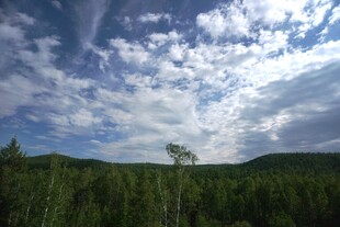 蓝天白云下的葱郁山林