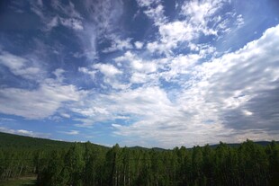 蓝天白云下的葱郁山林