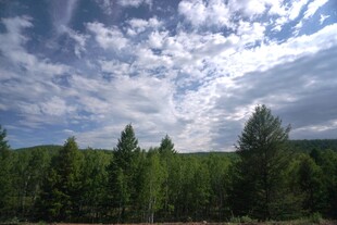 蓝天白云下的葱郁山林