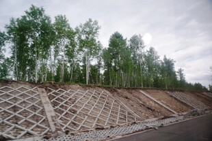 护坡工程旁的绿树景观