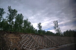 山坡防护网与周边绿树景观