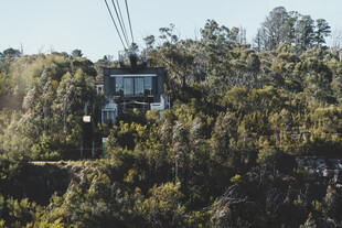 山间缆车穿梭于葱郁树林