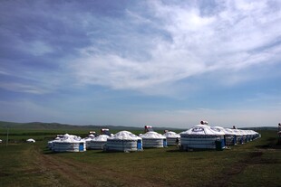 草原上的白色蒙古包群落