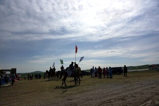 草原上的骑马活动场景