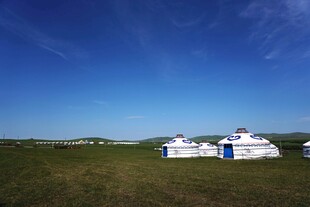 草原上的白色蒙古包群落