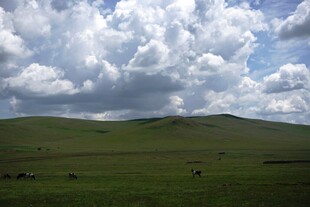 草原风光 蓝天白云下的美景