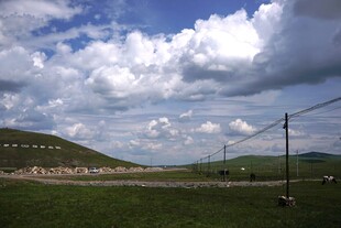 草原风光 蓝天白云电线