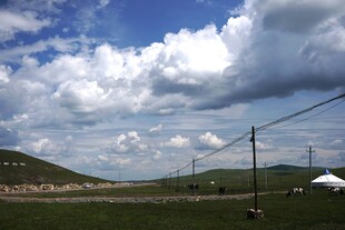 草原风光 蓝天白云下的景致