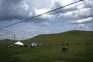 草原风光 马与蒙古包