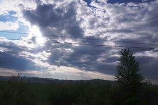 天空下的树木与云层