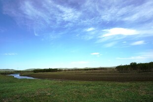 广阔田野与蓝天白云景观