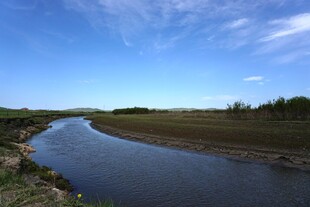 河畔风光 宁静自然之美