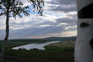 河畔树影下的自然景致