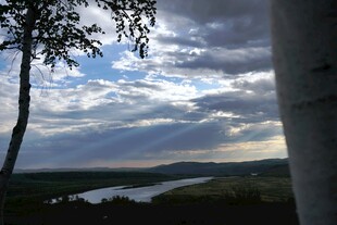 黄昏下的河畔树木美景