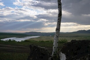 孤树映景下的湖光山色