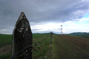 田野边的古老木桩与围栏