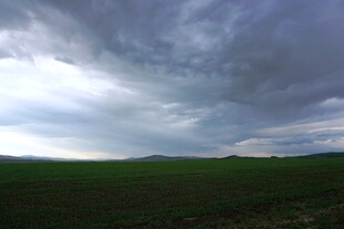 草原上的阴沉天空