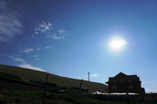 阳光下的乡村景致