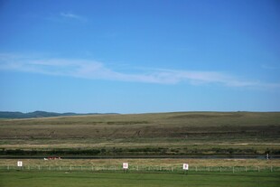 广袤草原上的白色物体